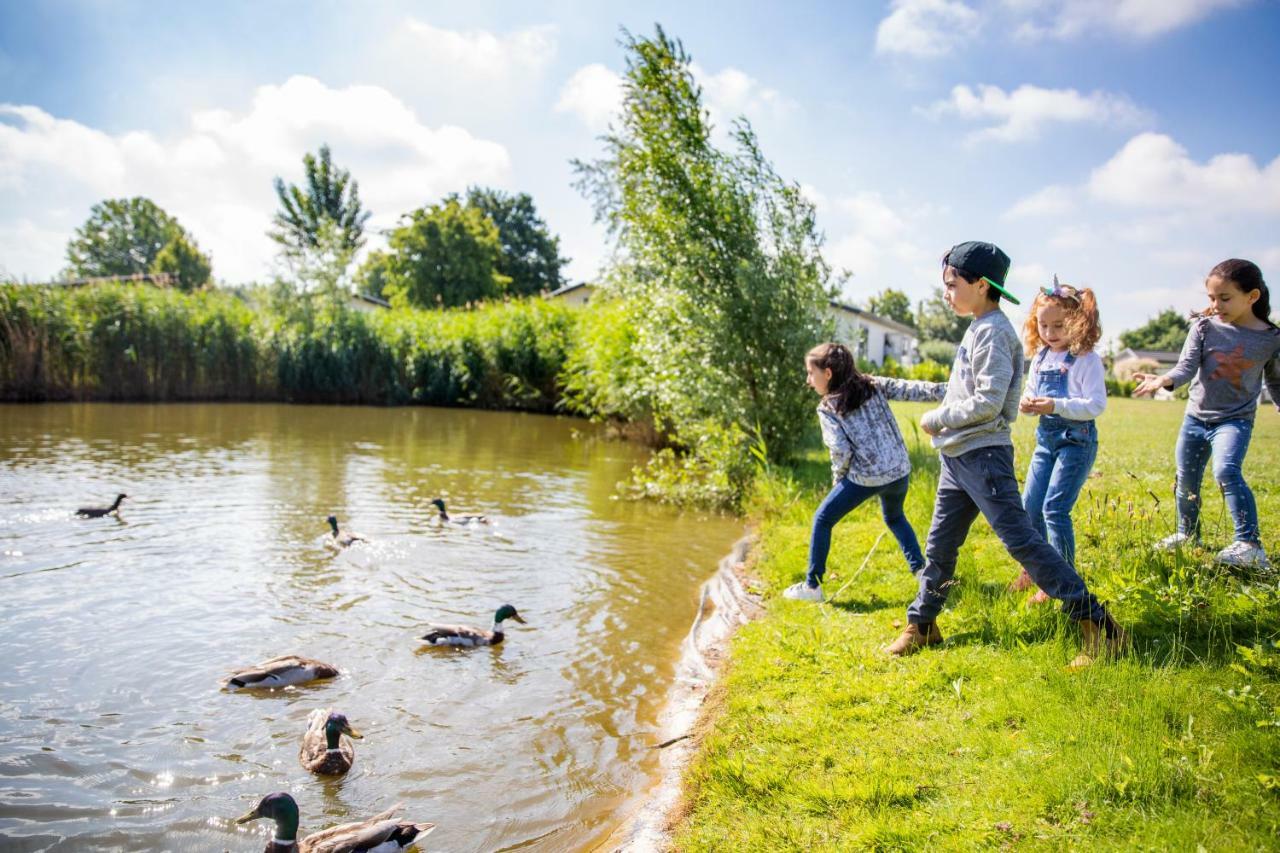 Topparken - Recreatiepark Het Esmeer Aalst Extérieur photo